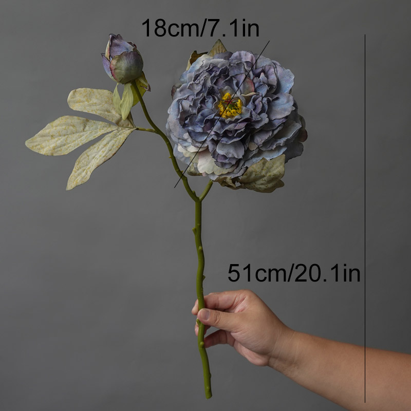 1PC Light Luxury 2 Head Big Pe - đánh giá và giá Photography Lighting Simulator Free