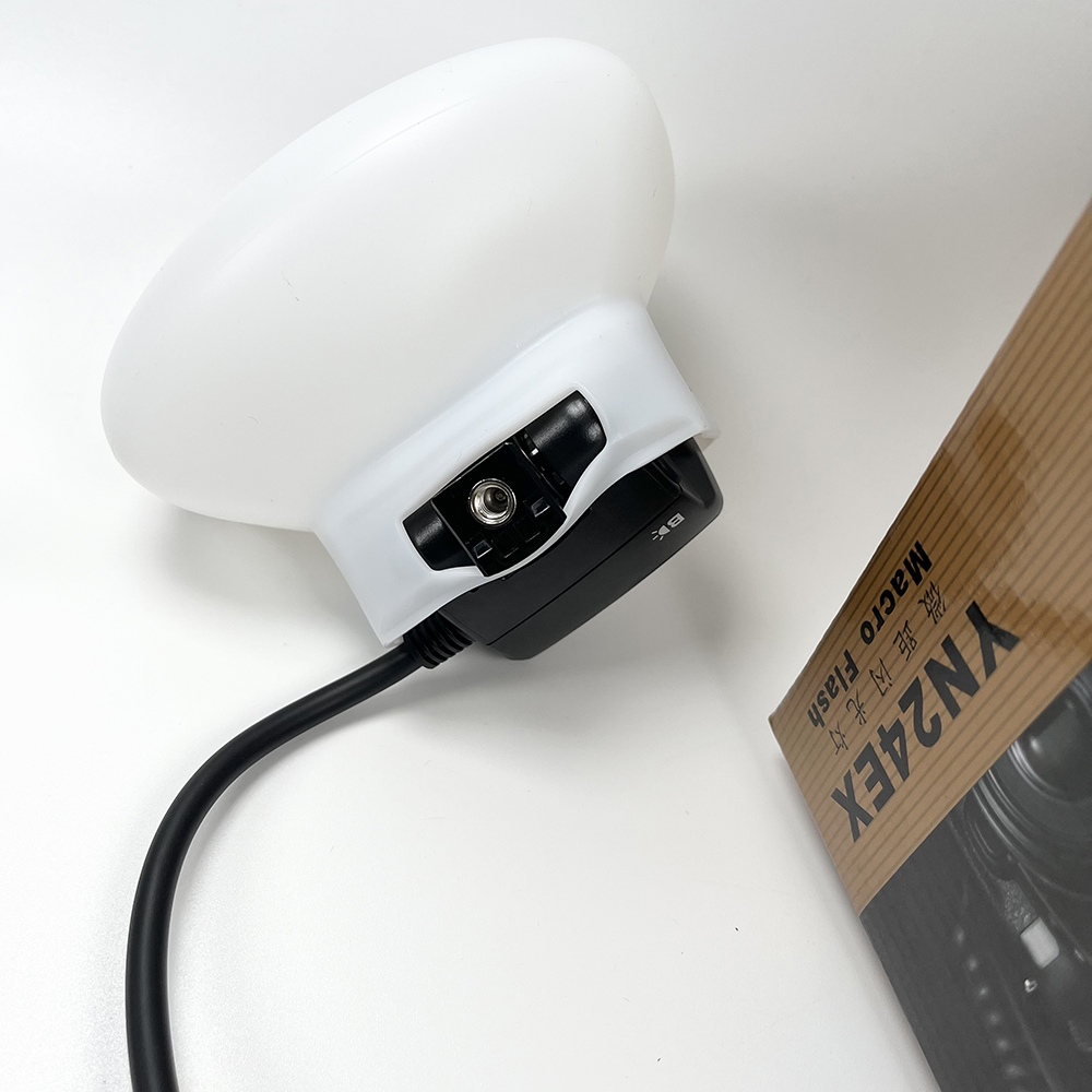 2pcs Softbox Dual Head Flash L - đánh giá và giá Photography Lighting Godox
